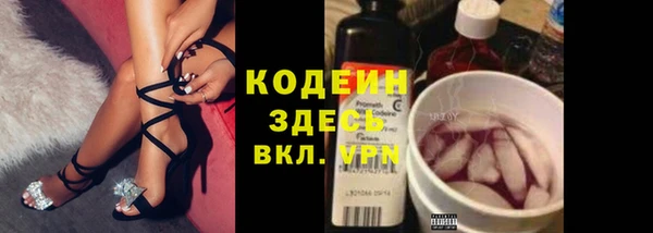 гашик Алзамай