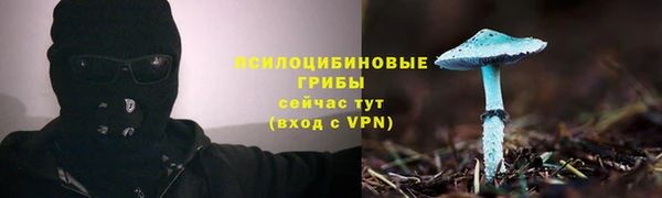 гашик Алзамай