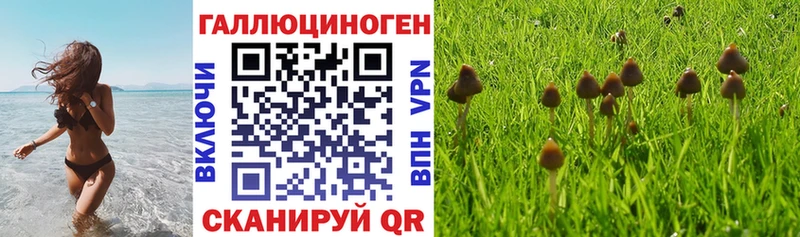 даркнет сайт Анапа Галлюциногенные грибы Psilocybe